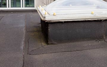 disadvantages of Thorpland flat roofs