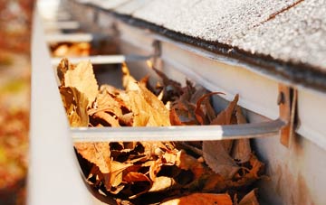 Thorpland gutter cleaning companies