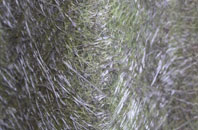 Thorpland fibreglass roof work